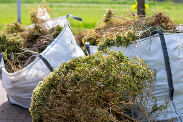 Best Demolition Debris Removal  in Hoxie, AR